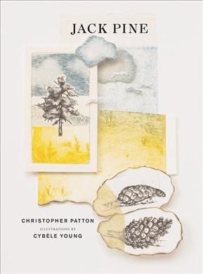 Jack pine / Christopher Patton ; illustrations by Cybèle Young.