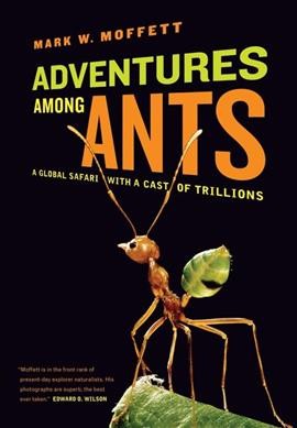 Adventures among ants : a global safari with a cast of trillions / Mark W. Moffett.