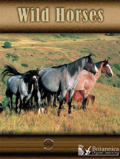 Wild Horses [electronic resource].