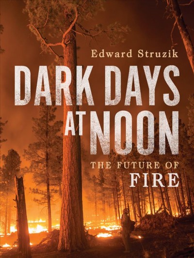 Darks days at noon : the future of fire / Edward Struzik.
