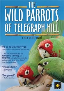 The Wild parrots of Telegraph Hill.