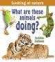 What are these animals doing?  Cover Image