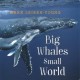 Go to record Big whales, small world