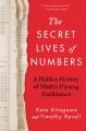 The secret lives of numbers : a hidden history of math's unsung trailblazers  Cover Image