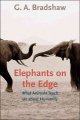 Go to record Elephants on the edge : what animals teach us about humanity